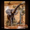 elephant-giraffe-taxidermy-011